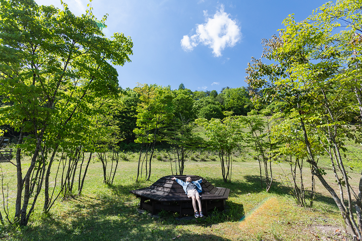 星見ベンチ